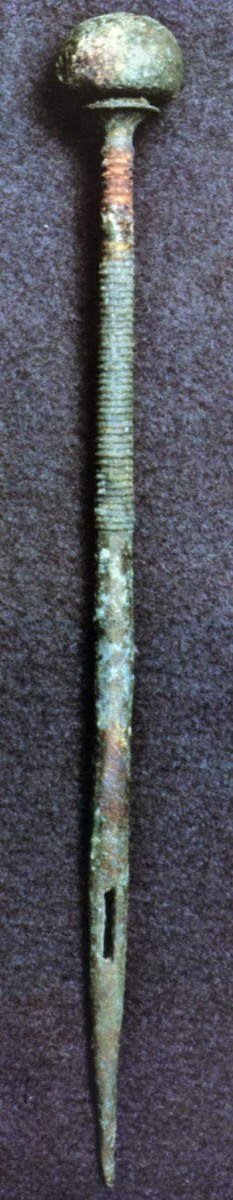 -79 Aiguille pour placer un seton vraisemblablement d'usage veterinaire Pompei .jpg